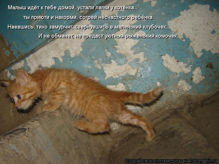 Фото Говорила Что Не Такая