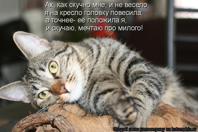 Фото Не Будет Мешать
